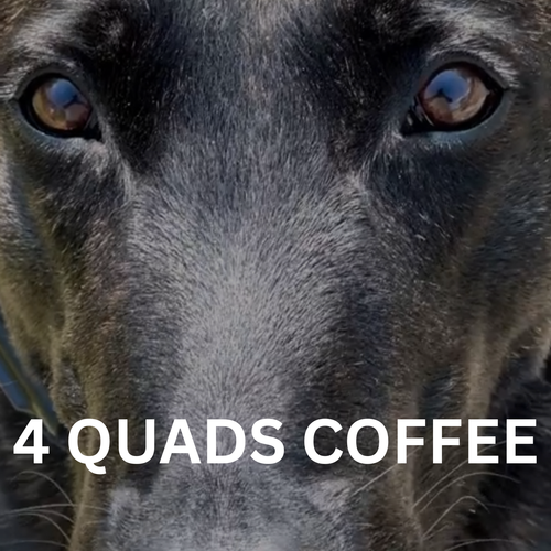 4 Quads Coffee - The Trainers Brew